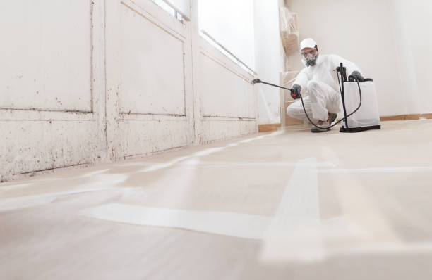 24/7 Emergency Attic Mold Remediation experts in Point of Rocks, MD
