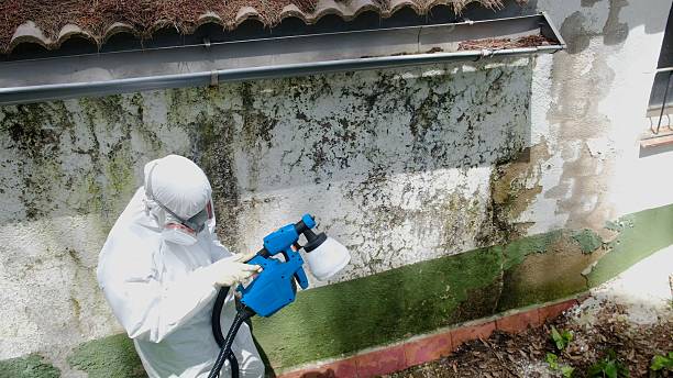 Top rated local Attic Mold Remediation specialists in Point of Rocks, MD